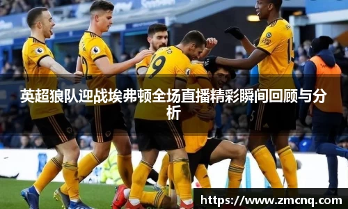 英超狼队迎战埃弗顿全场直播精彩瞬间回顾与分析